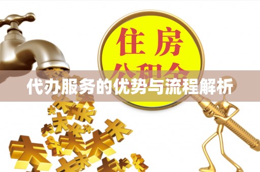 定远代办服务的优势与流程解析