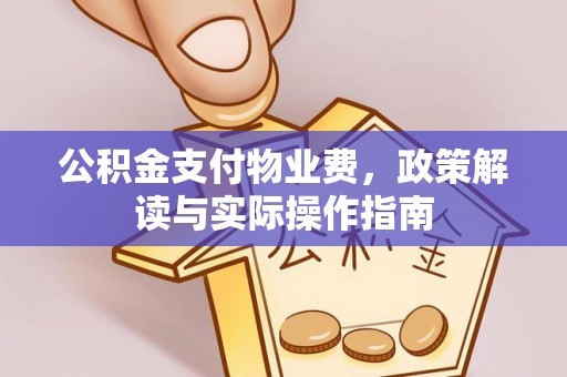 定远公积金支付物业费，政策解读与实际操作指南