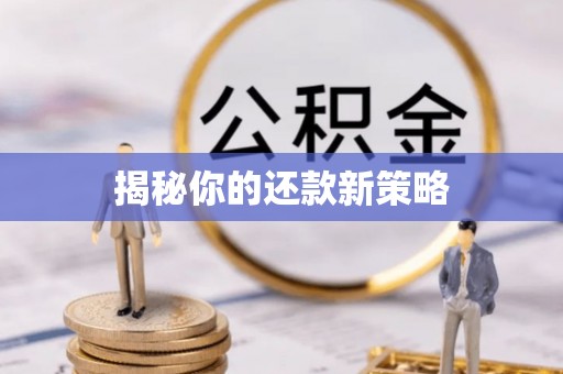定远揭秘你的还款新策略