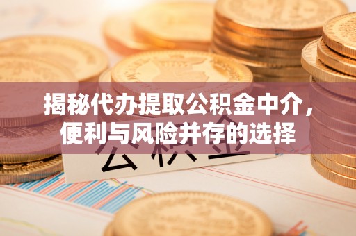 定远揭秘代办提取公积金中介，便利与风险并存的选择