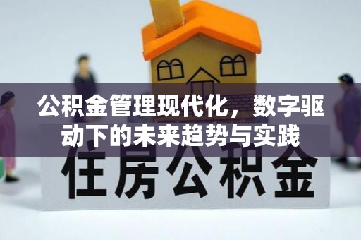 定远公积金管理现代化，数字驱动下的未来趋势与实践