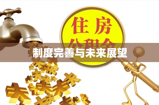 定远制度完善与未来展望
