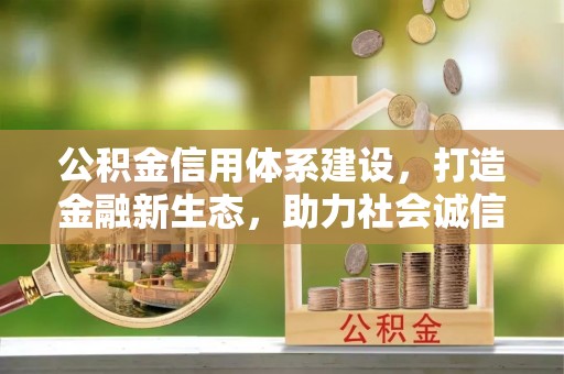 定远公积金信用体系建设，打造金融新生态，助力社会诚信发展