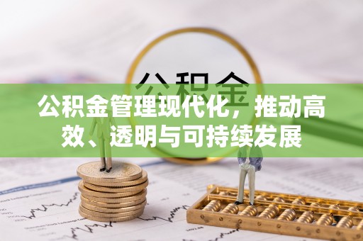 定远公积金管理现代化，推动高效、透明与可持续发展