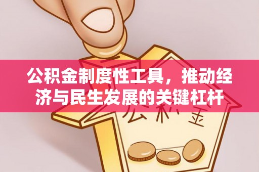 定远公积金制度性工具，推动经济与民生发展的关键杠杆