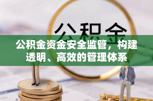 定远公积金资金安全监管，构建透明、高效的管理体系