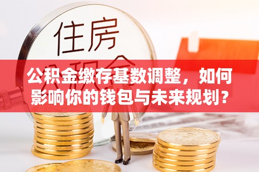 定远公积金缴存基数调整，如何影响你的钱包与未来规划？