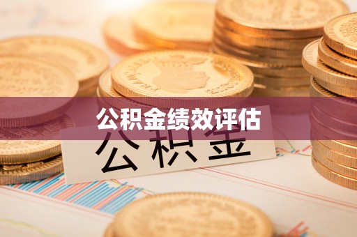 定远公积金绩效评估