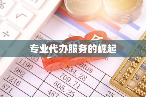 定远专业代办服务的崛起