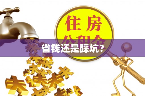 定远省钱还是踩坑？