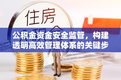 定远公积金资金安全监管，构建透明高效管理体系的关键步骤