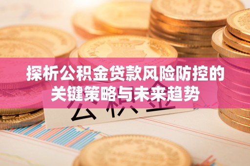 定远探析公积金贷款风险防控的关键策略与未来趋势