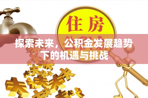 定远探索未来，公积金发展趋势下的机遇与挑战