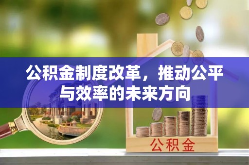 定远公积金制度改革，推动公平与效率的未来方向