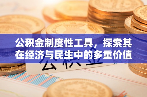 定远公积金制度性工具，探索其在经济与民生中的多重价值