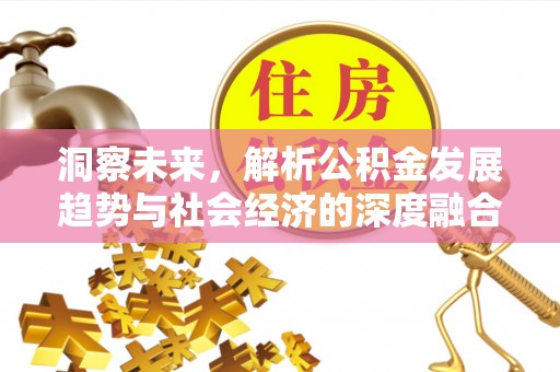定远洞察未来，解析公积金发展趋势与社会经济的深度融合