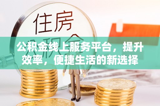 定远公积金线上服务平台，提升效率，便捷生活的新选择