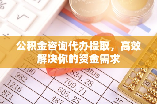 定远公积金咨询代办提取，高效解决你的资金需求