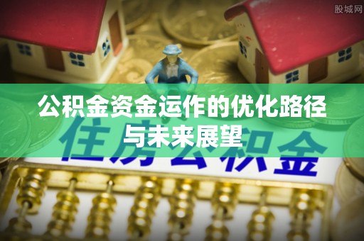 定远公积金资金运作的优化路径与未来展望