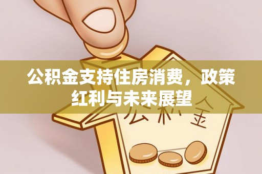 定远公积金支持住房消费，政策红利与未来展望
