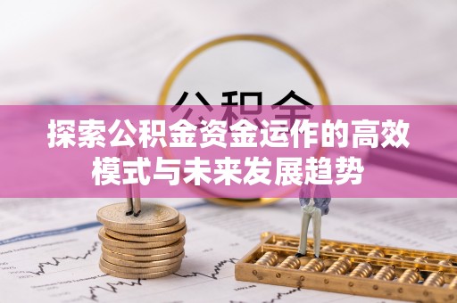 定远探索公积金资金运作的高效模式与未来发展趋势