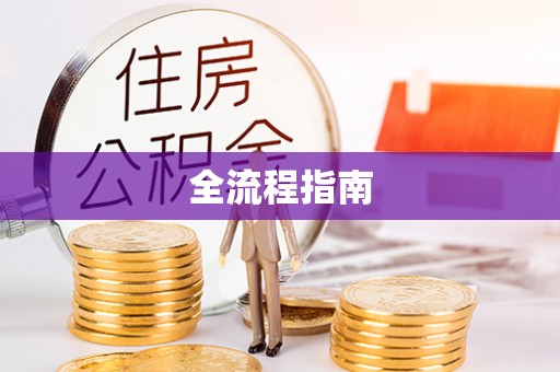 定远全流程指南