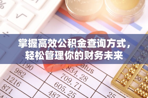定远掌握高效公积金查询方式，轻松管理你的财务未来