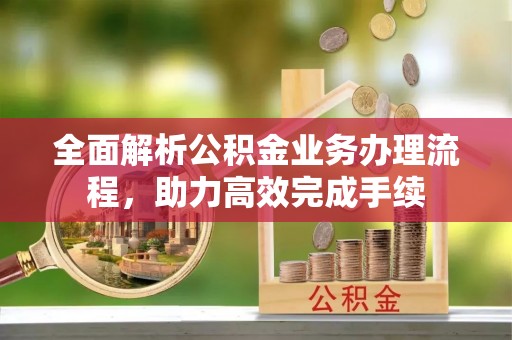 定远全面解析公积金业务办理流程，助力高效完成手续