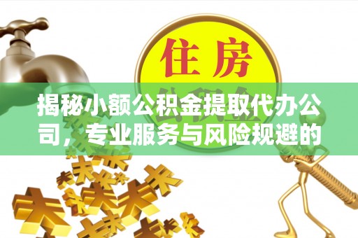 定远揭秘小额公积金提取代办公司，专业服务与风险规避的平衡艺术