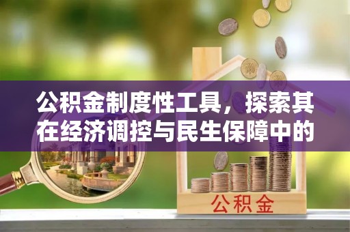定远公积金制度性工具，探索其在经济调控与民生保障中的重要作用