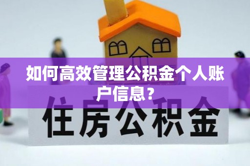 定远如何高效管理公积金个人账户信息？
