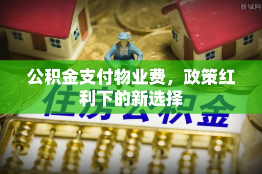 定远公积金支付物业费，政策红利下的新选择