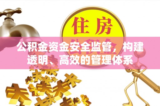 定远公积金资金安全监管，构建透明、高效的管理体系