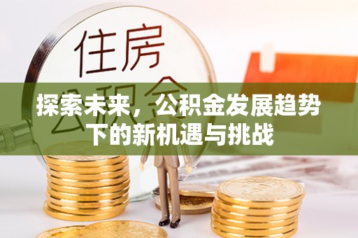 定远探索未来，公积金发展趋势下的新机遇与挑战