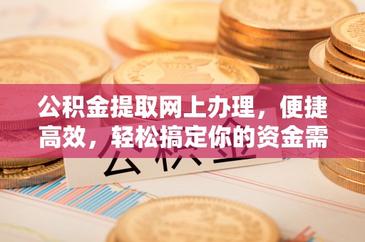 定远公积金提取网上办理，便捷高效，轻松搞定你的资金需求