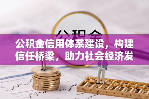 定远公积金信用体系建设，构建信任桥梁，助力社会经济发展