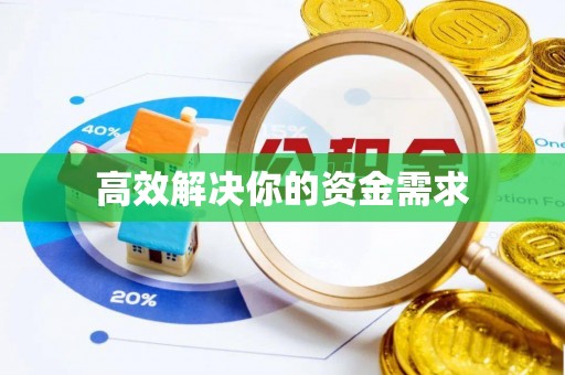 定远高效解决你的资金需求