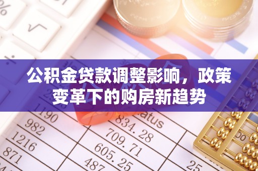 定远公积金贷款调整影响，政策变革下的购房新趋势