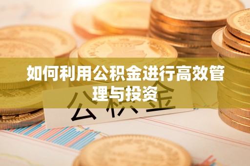 定远如何利用公积金进行高效管理与投资