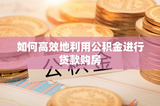 定远如何高效地利用公积金进行贷款购房