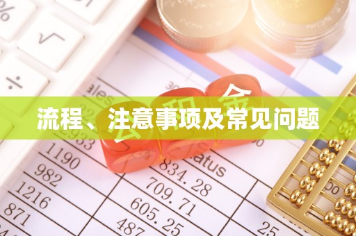 定远流程、注意事项及常见问题