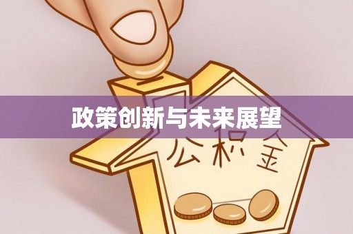 定远政策创新与未来展望
