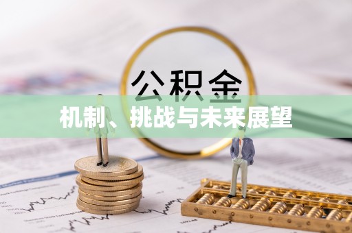 定远机制、挑战与未来展望