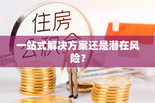 定远一站式解决方案还是潜在风险？