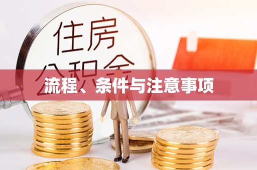 定远流程、条件与注意事项